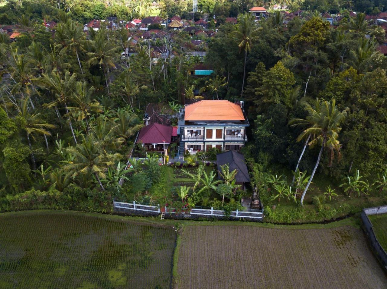 Demank Hidden Guesthouse Ubud Exterior foto